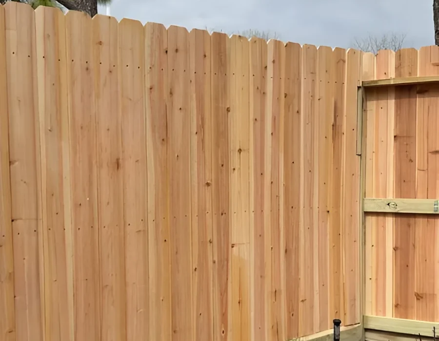 Affordable Landscape Services in Webster, TX Your Reliable Landscaping Contractor in Webster, TX